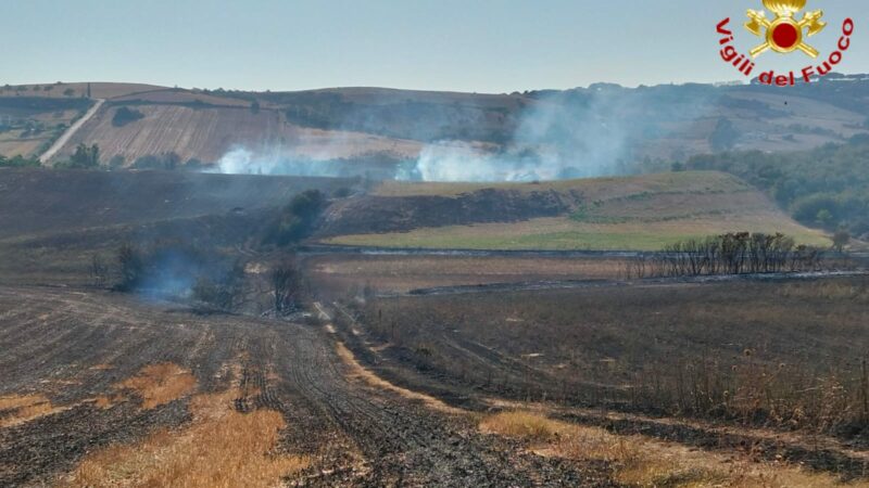 Roma e provincia, anche oggi molti gli interventi per gli incendi estivi