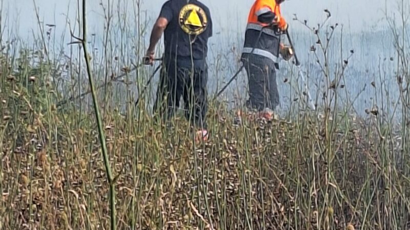 Cava dei Selci, un vasto incendio ha tenuto impegnati protezione civile e vigili del fuoco per diverse ore