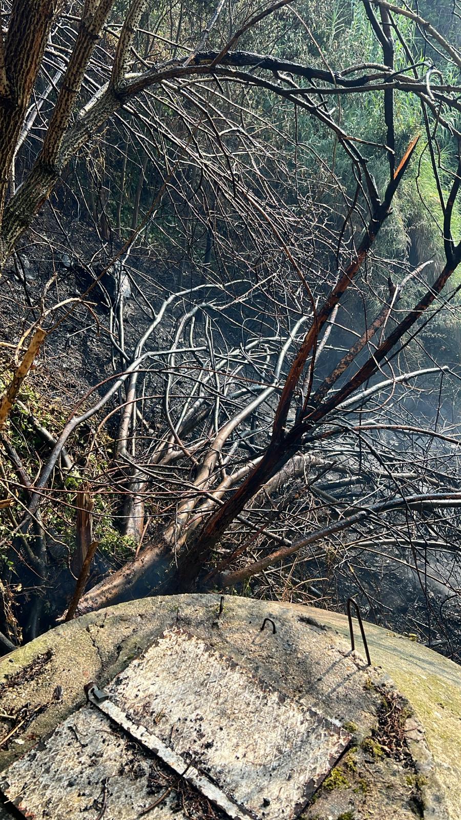 Frascati pericoloso incendio in via del piscaro evacuate anche alcune case