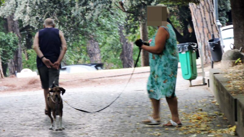 Genzano, Via dell’Olmata: una delle aree verdi più belle dei Castelli Romani. I residenti chiedono ai frequentatori di rispettare maggiormente la zona. Foto e Video