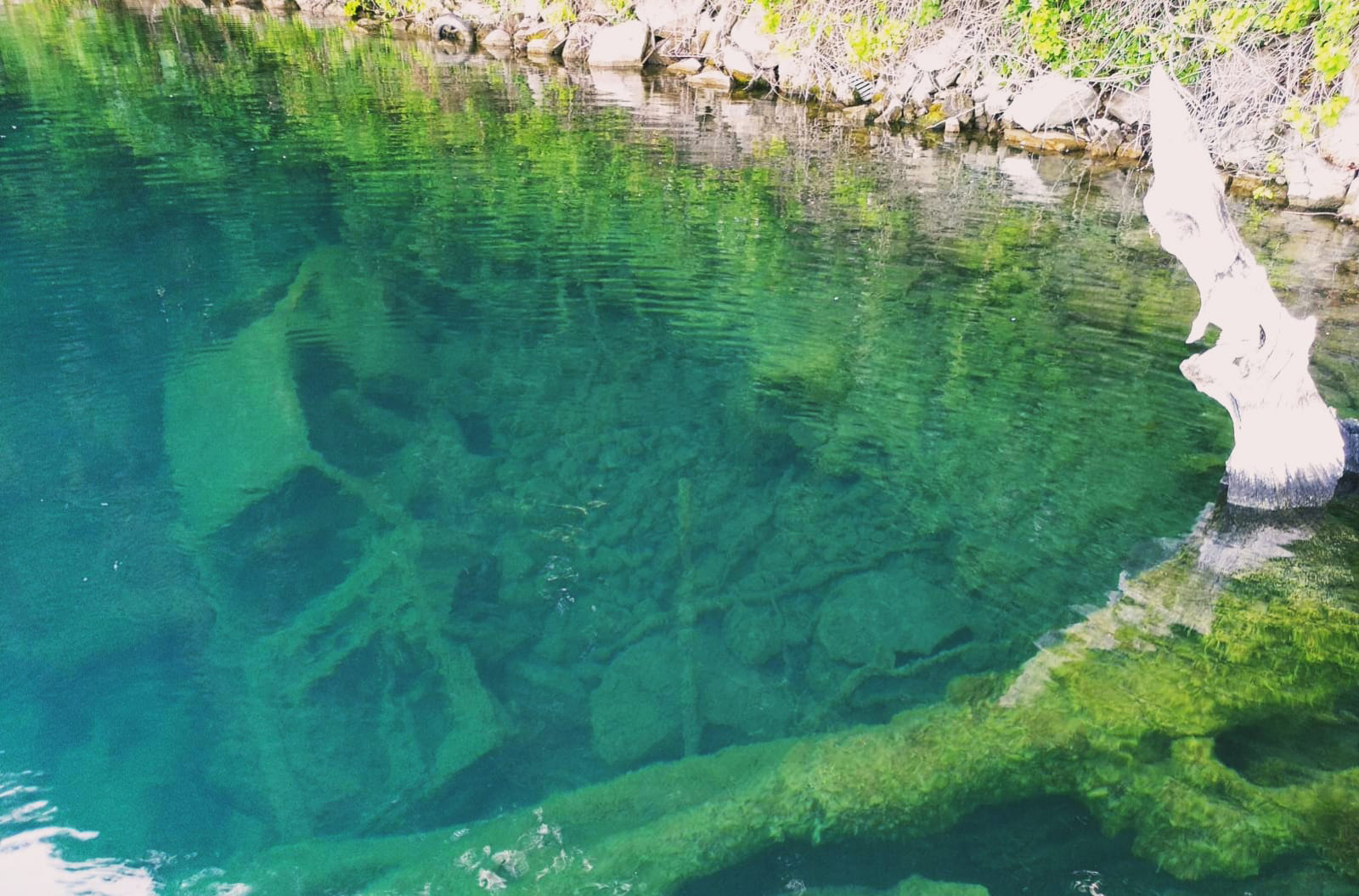 L’inquinamento dei laghi dei Castelli Romani è in aumento: emergono anche discariche sommerse