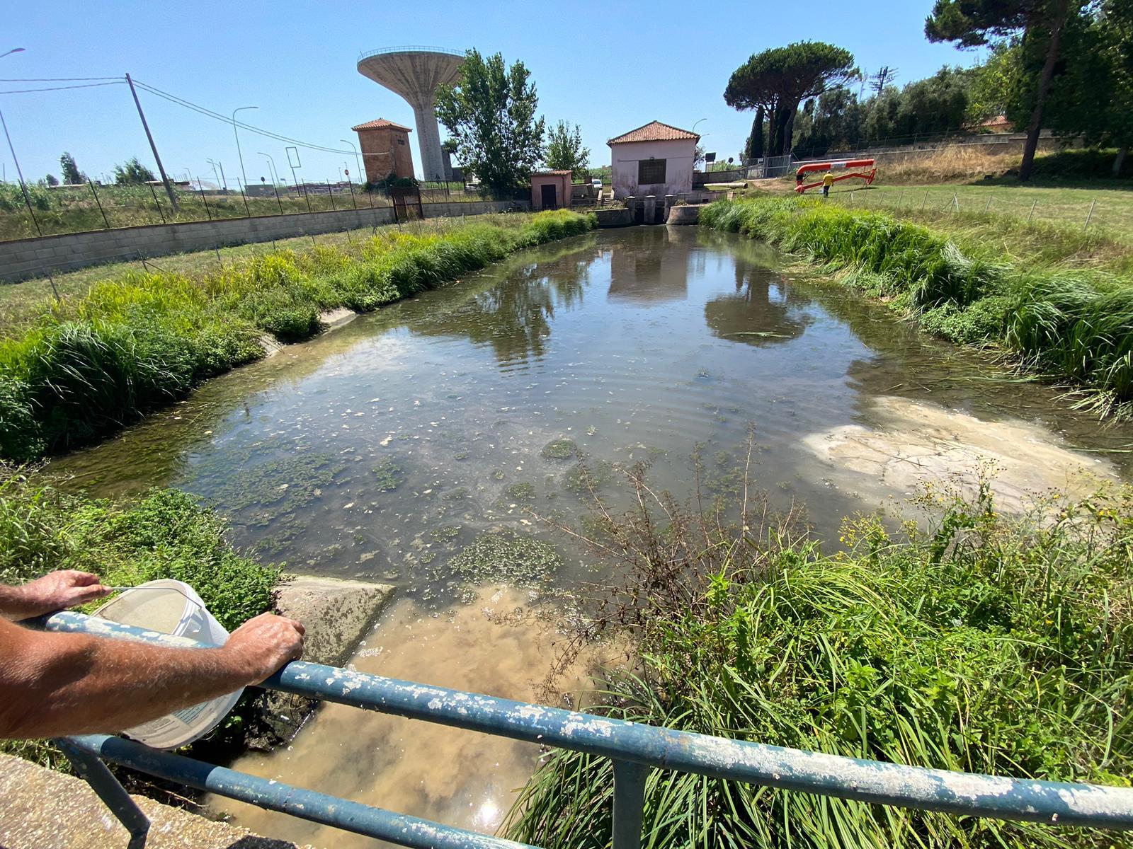 Pomezia, proseguono i trattamenti di Bio-bonifica a Torvajanica