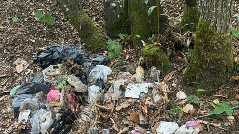 Rocca di Papa, contrasto abbandono dei rifiuti e pulizia dei boschi