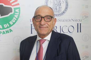 Agroalimentare, Raimondo (Consorzio Bufala Campana Dop): “Filiera mozzarella unicum da tutelare”