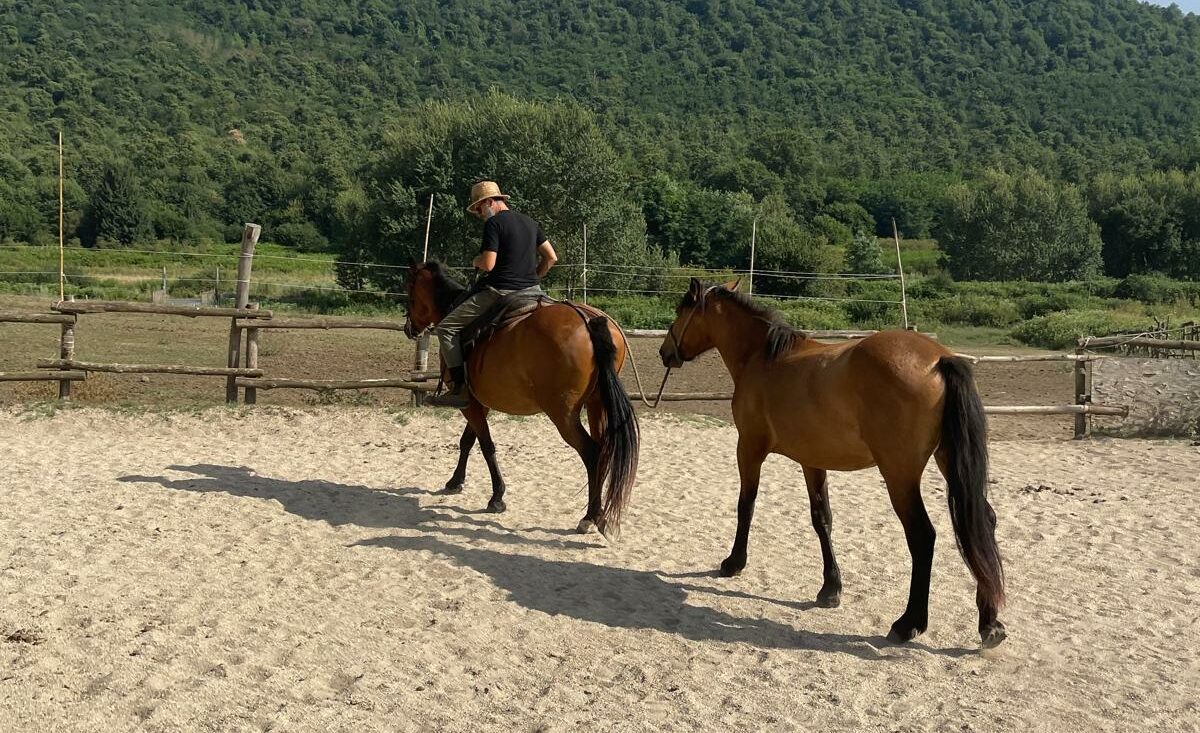 Velletri, Festa del Buttero Contemporaneo 14 – 15 settembre ai Pratoni del Vivaro