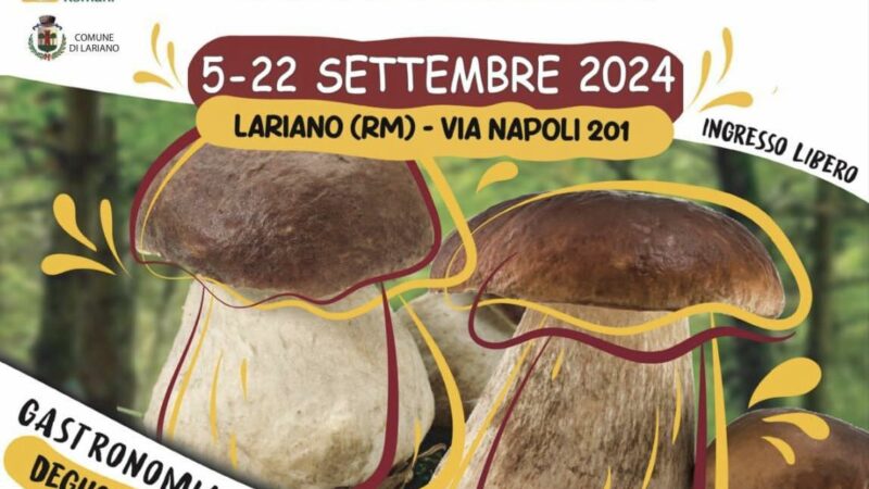 Il concerto dei Nomadi chiude la Festa del Fungo Porcino di Lariano