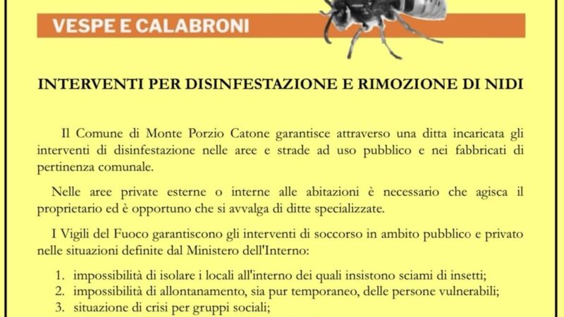 Monte Porzio Catone, rimozione nidi di vespe – consigli della polizia locale