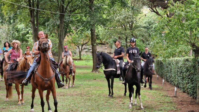 Rocca di Papa, Nemi, Genzano, passeggiata a cavallo di fine estate con pranzo finale alla Casina delle Rose