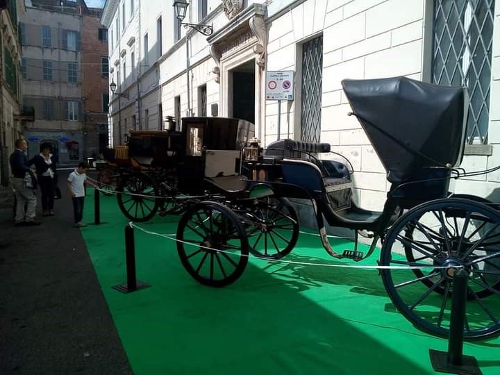 Velletri, presentazione XI edizione del Velletri Wine Festival Nicola Ferri 14 settembre 2024