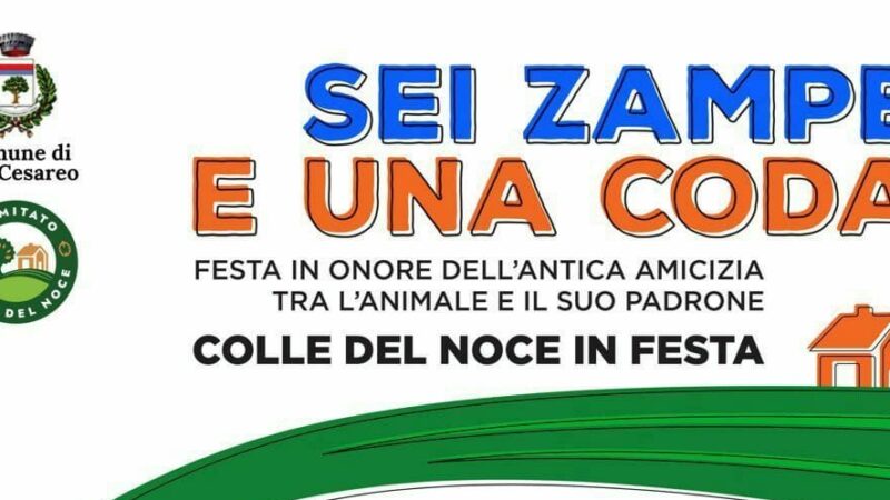 San Cesareo, “Sei Zampe e una Coda” il quartiere di Colle del Noce in Festa