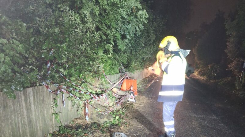 Castel Gandolfo, terminate poco fa le operazioni di rimozione dei due grossi alberi caduti in via Gallerie di Sopra