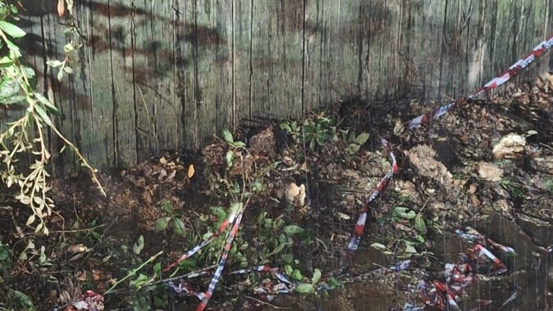 Castel Gandolfo, pericolosa caduta dei alcuni alberi causata dal forte vento