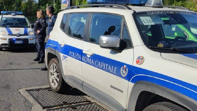 Roma, Ponte Mammolo: Pitone Reale trovato sul marciapiede. Intervento della Polizia Locale (foto archivio)