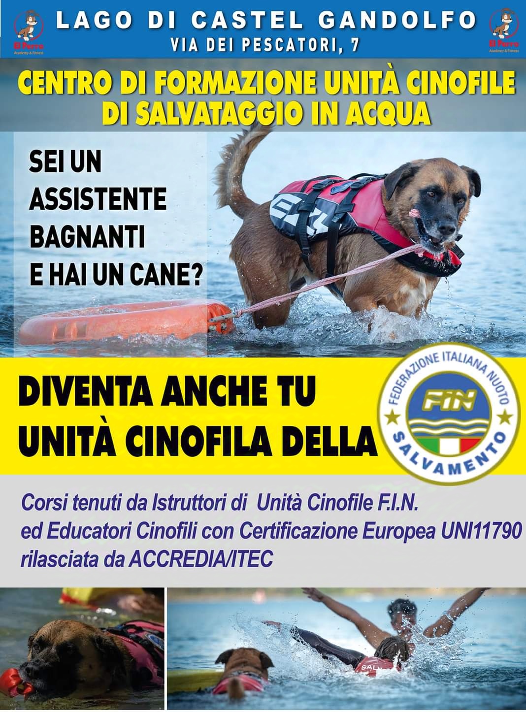 Cinofilia a Castel Gandolfo: El Perro Academy & Fitness riparte con nuovi progetti sulla Cinofilia Sportiva e da soccorso