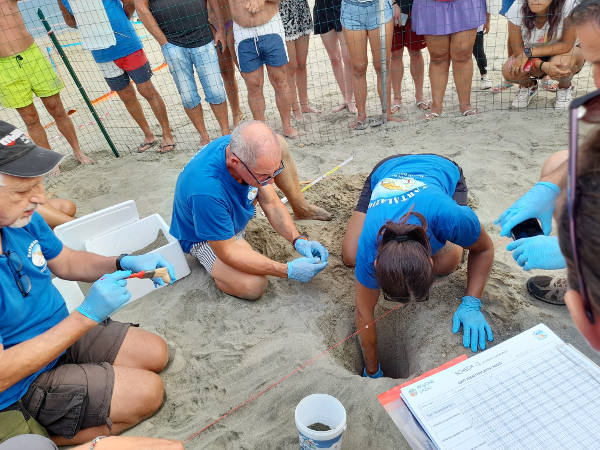 WWF Litorale Laziale ODV: bilancio delle attività estive sulle spiagge