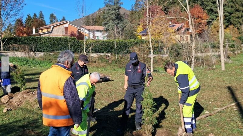 Arcinazzo Romano, ripiantumazione alberi agli Altipiani di Arcinazzo: un passo verso il futuro verde della “Piccola Svizzera”