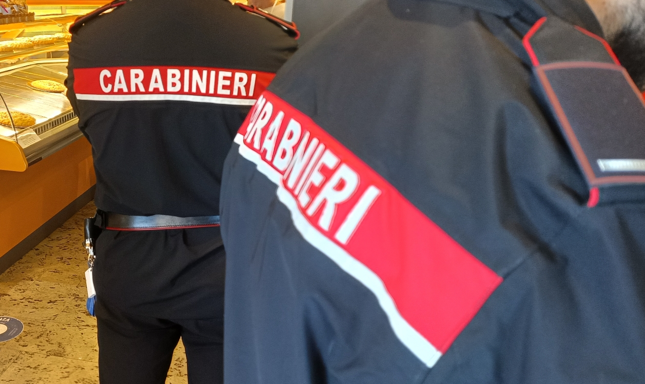 Genzano di Roma, Carabinieri: controlli in materia igienico-sanitaria e rispetto della normativa sul lavoro