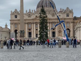 Natale, innalzato in piazza San Pietro l’albero al centro delle proteste