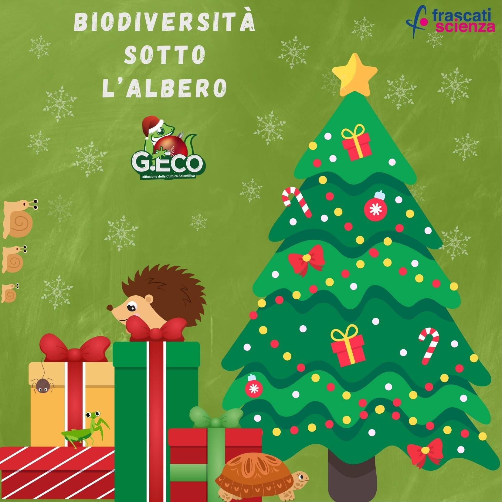 Frascati, laboratori educativi per grandi e piccoli sotto l’albero